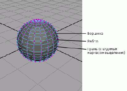 NURBS-,       