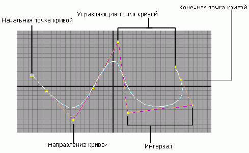 NURBS-,       