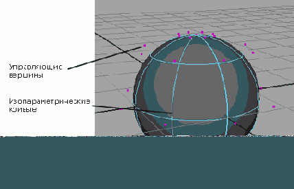 NURBS-,       